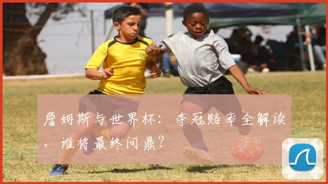 詹姆斯与世界杯:夺冠赔率全解读,谁将最终问鼎?